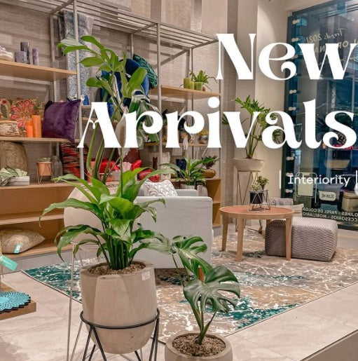 ¡Llegaron las novedades!